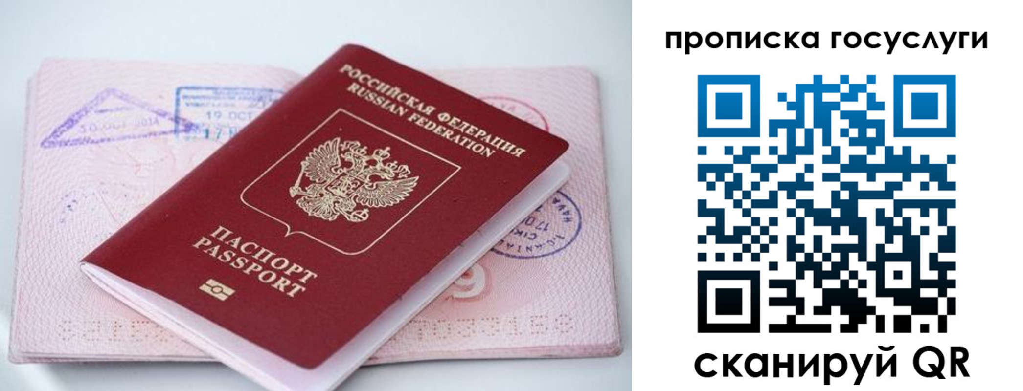 прописка законно в Черняховске